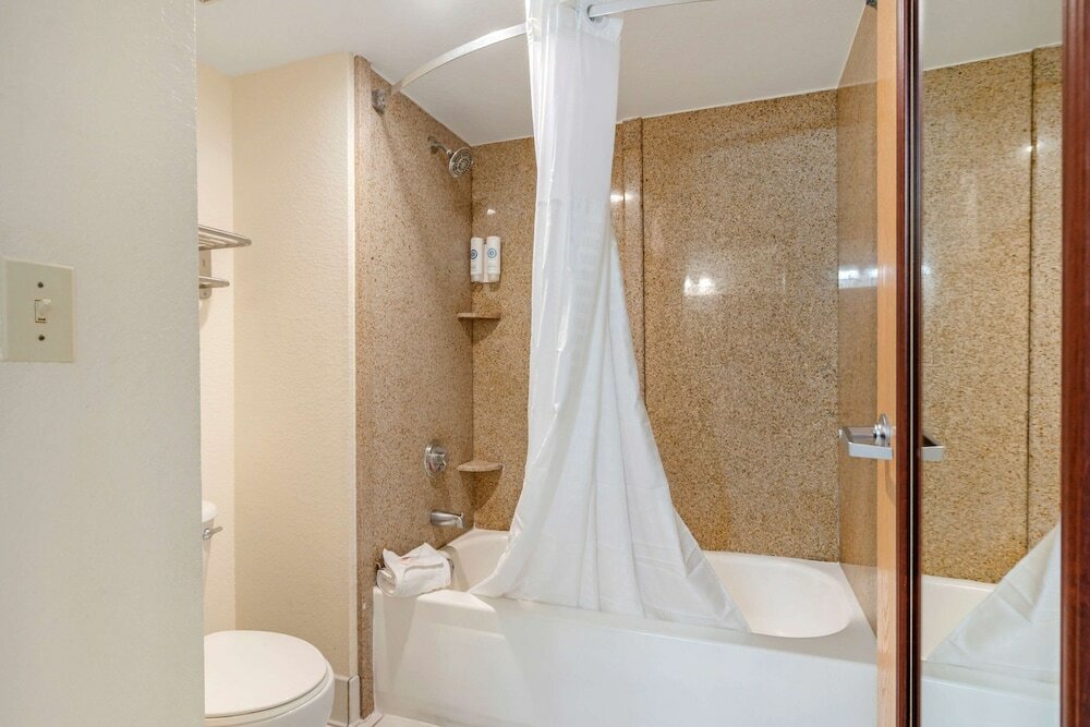 Фото Comfort Inn Kissimmee-Lake Buena Vista South