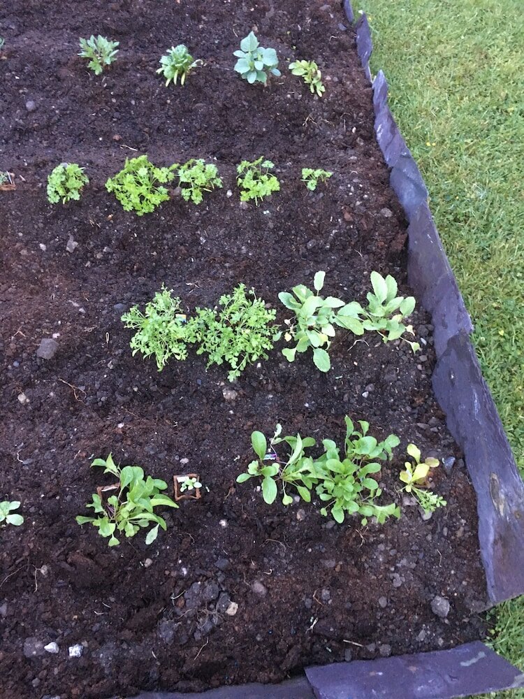 Фото 19th Green guesthouse