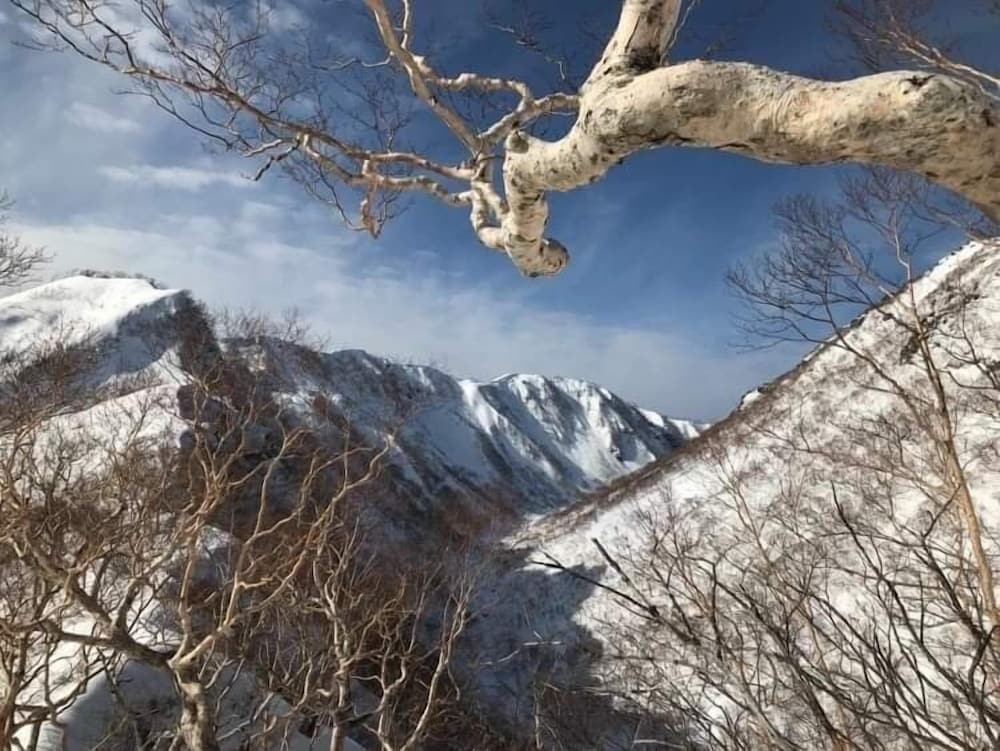 Фото Myoko Forest Lodge - Hostel