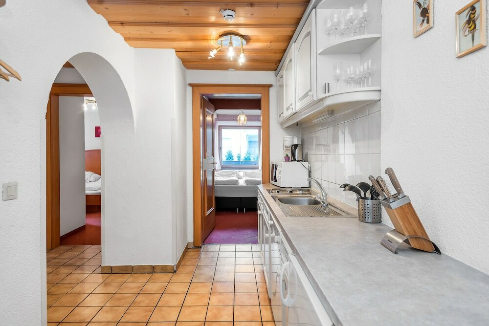 Фото Appartements Traxl by Skinetworks