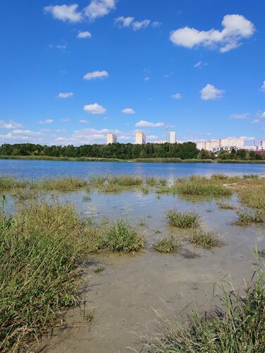 Ростовское море в Ростове-на-Дону, ул. Орская, 100/99 - фото, отзывы 2024, рейти