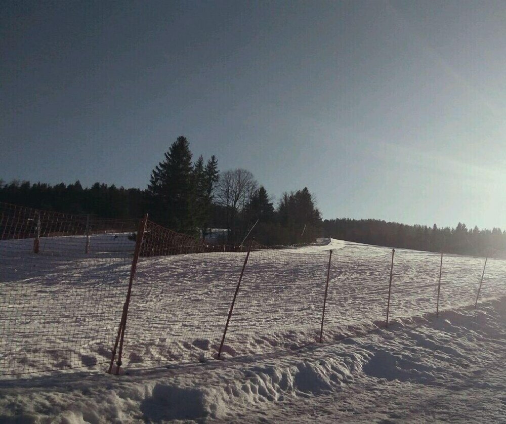 Фото Ski-Lake Cottage Nízke Tatry