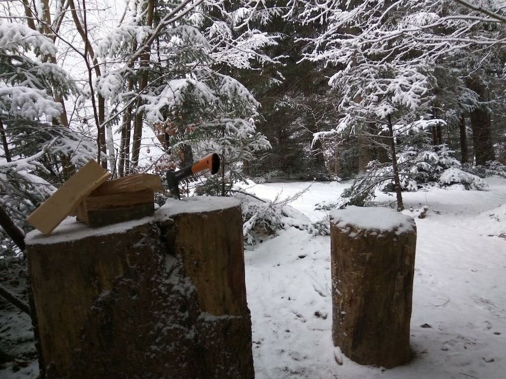 Фото Ski-Lake Cottage Nízke Tatry