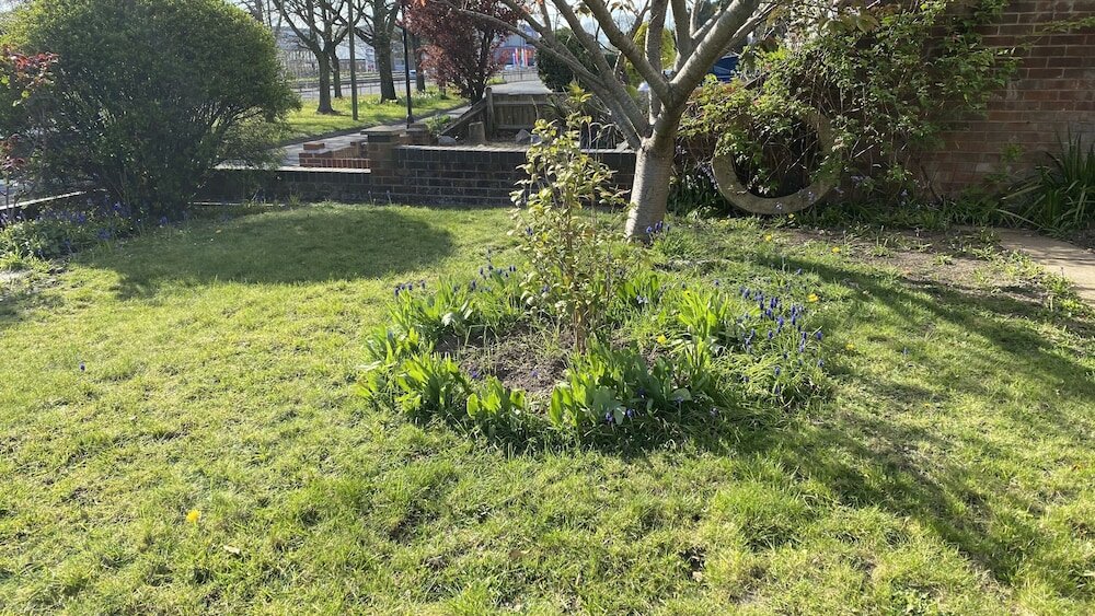 Фото Secret Garden House