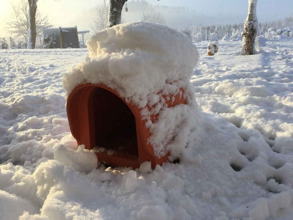 Фото B&b Le Piote