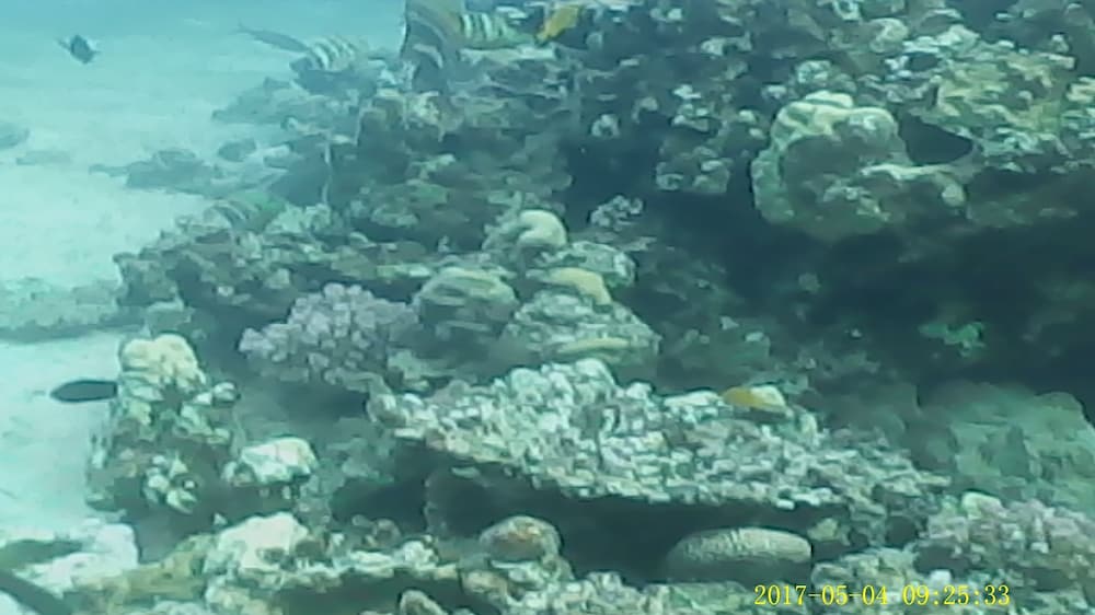 Фото Wishwashi Camp & Resort