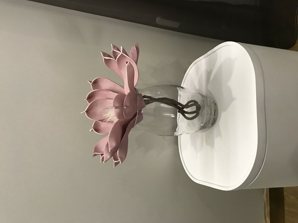 Фото Vasco da Gama