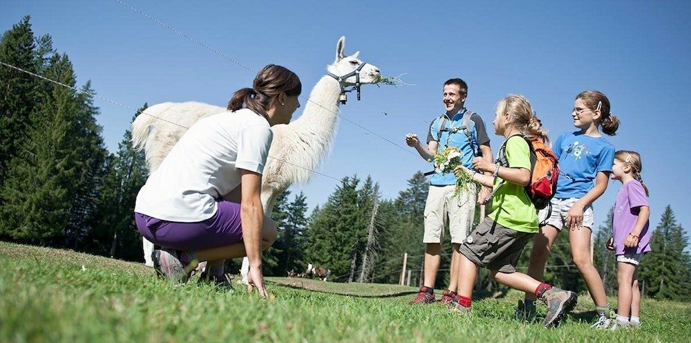 Фото Hotel Castel Latemar