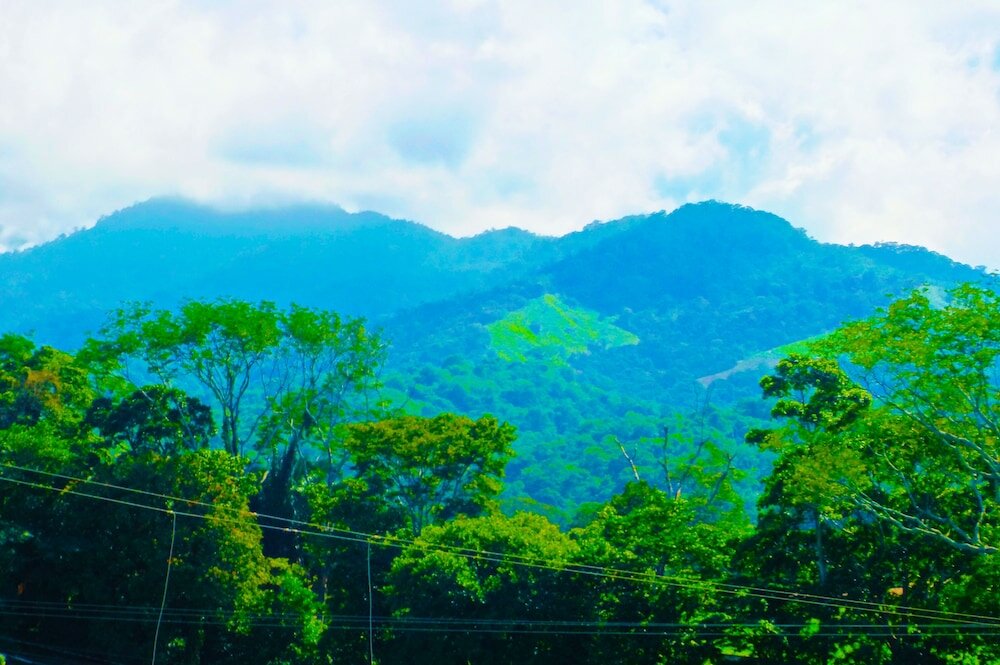 Фото Hotel Las Hamacas