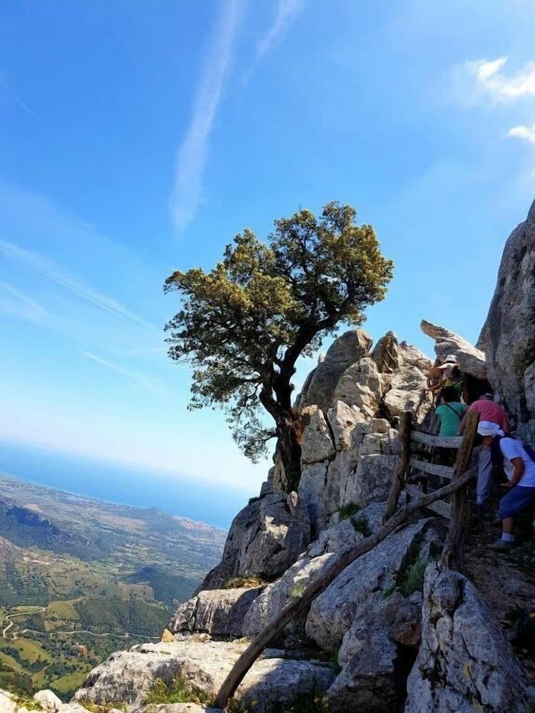 Фото Agriturismo SAS Pretas Latas