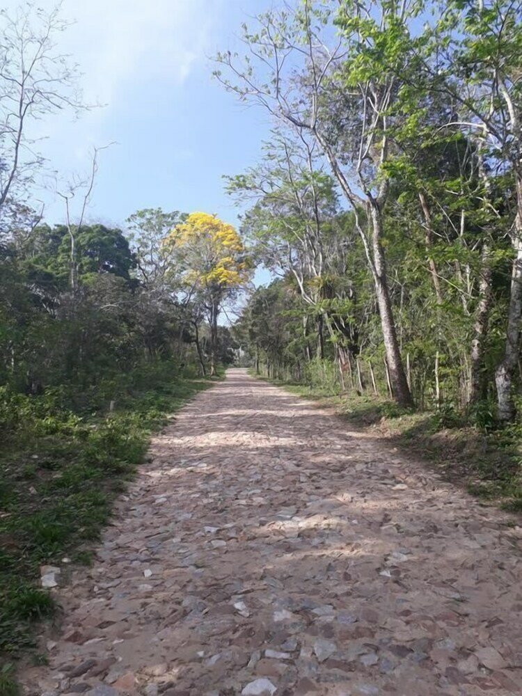 Фото Chalés Monte Suíço