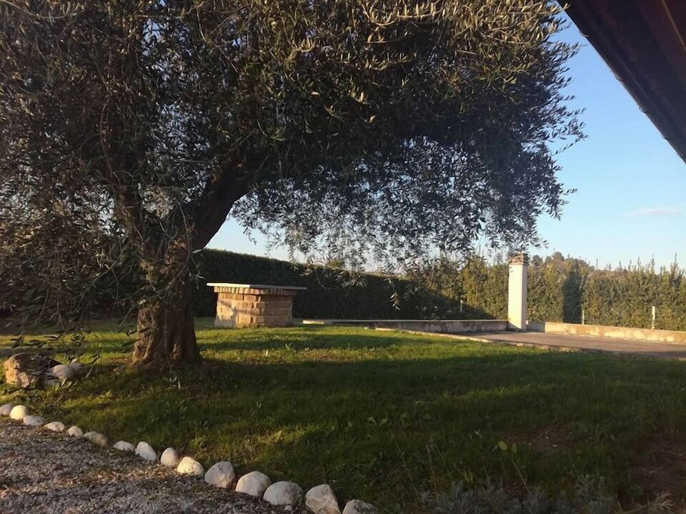 Фото La Zavorrina