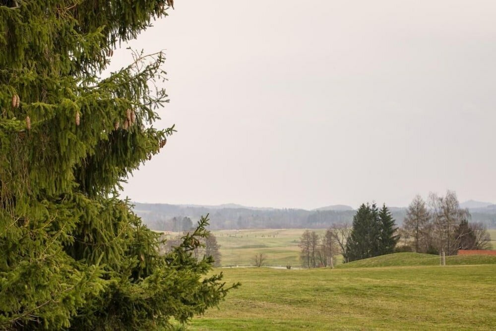 Фото Rezidence Morris