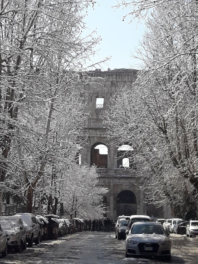 Фото Vesta Domus