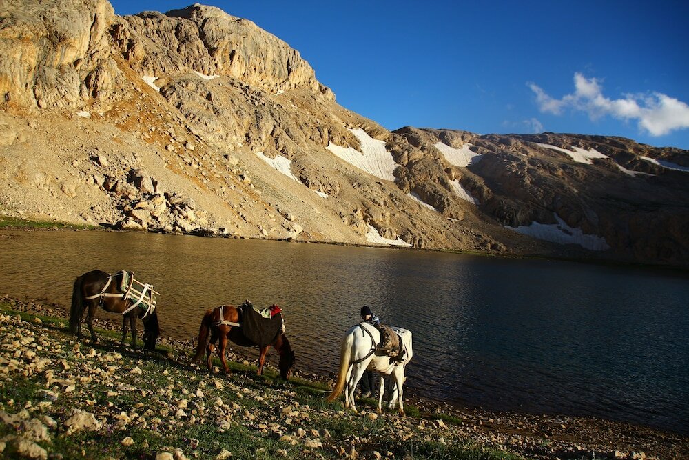 Фото Taurus Guest House