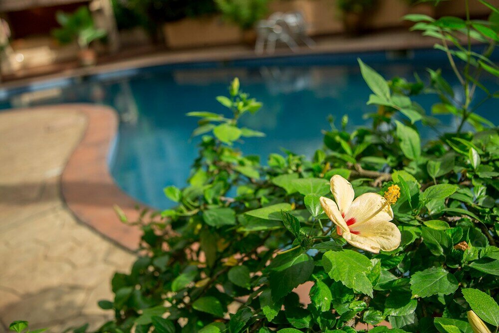 Фото La Cour Hotel Apartments