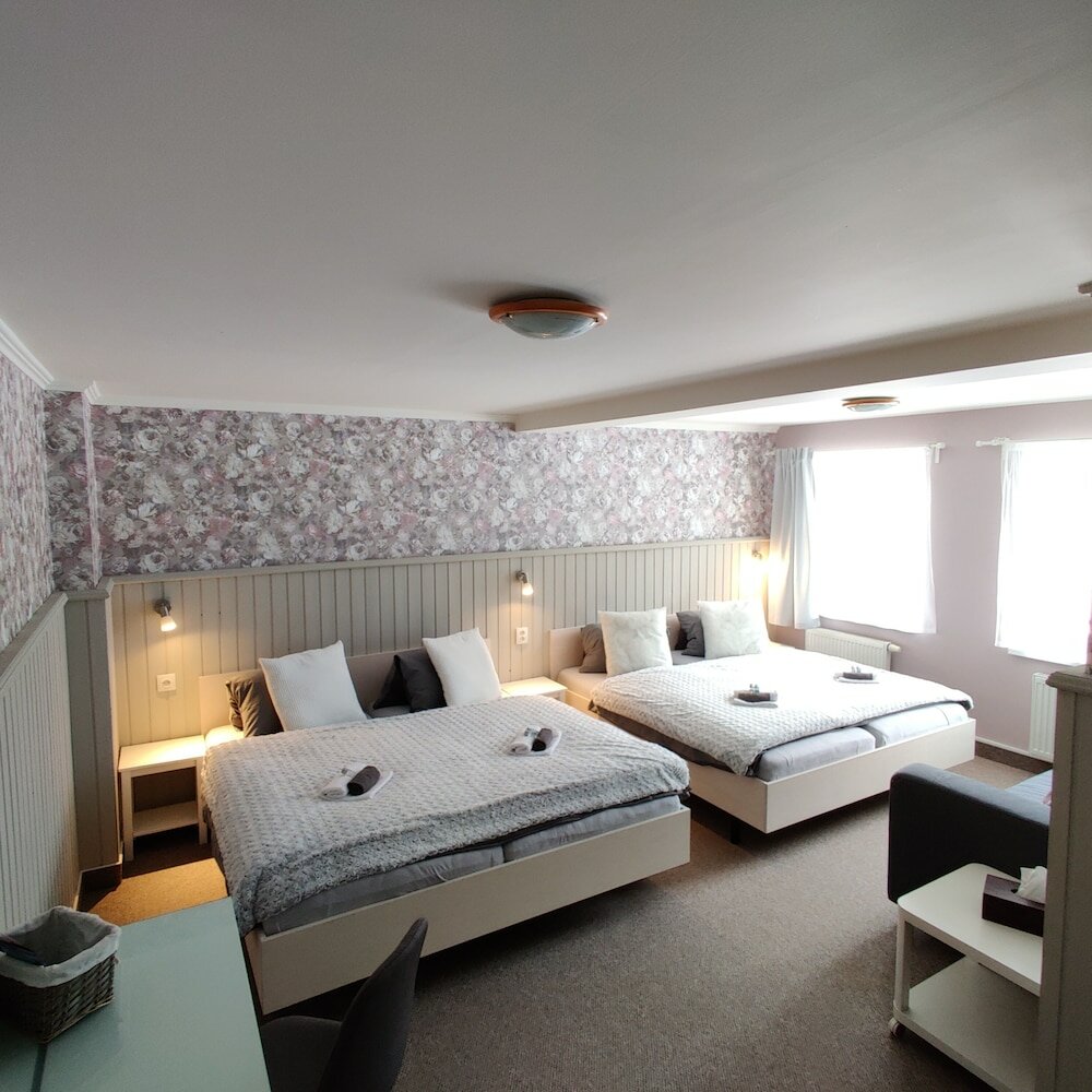 Фото Penzion Bílá voda