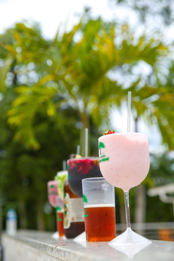 Фото Hotel Fazenda Pommernland