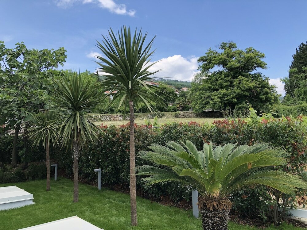 Фото Designed Apartment with Swimming Pool