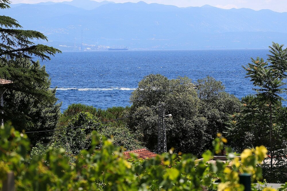 Фото Designed Apartment with Swimming Pool