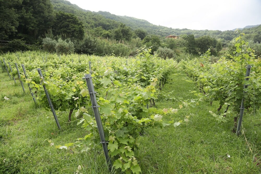 Фото Borgo Rosso di Sera Resort Country Chic