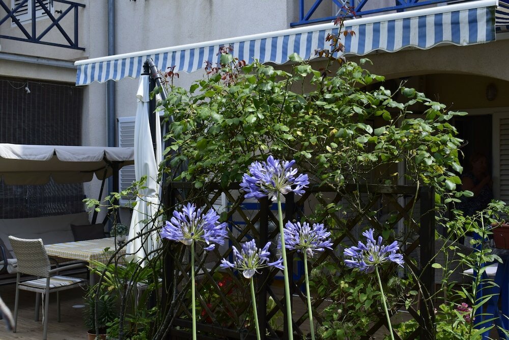 Фото Apartment Tulip