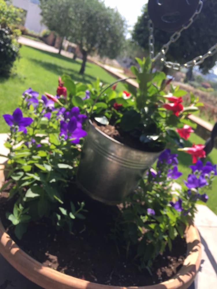 Фото Azienda Agrituristica i Tre Casali