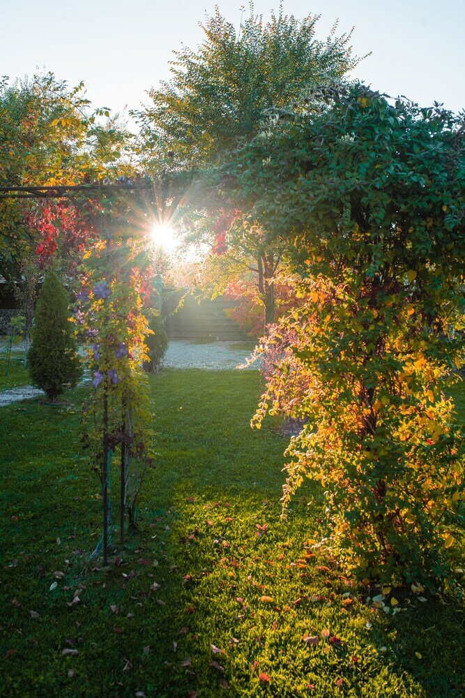 Фото Casa Dives - Transylvania