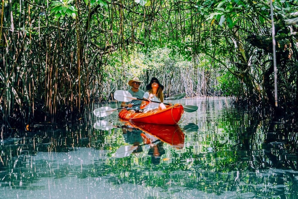 Фото Ngellil Nature Island Resort