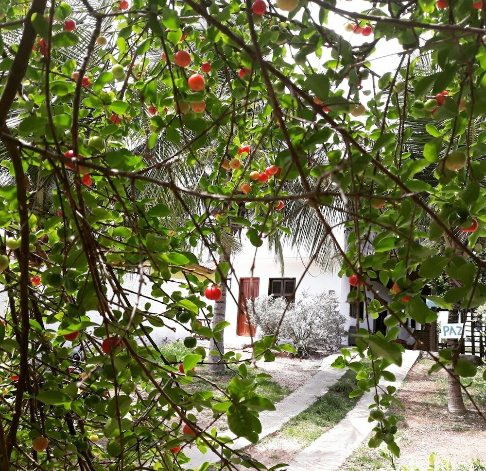 Фото Мини-Отель Pousada Brisa Del Mar