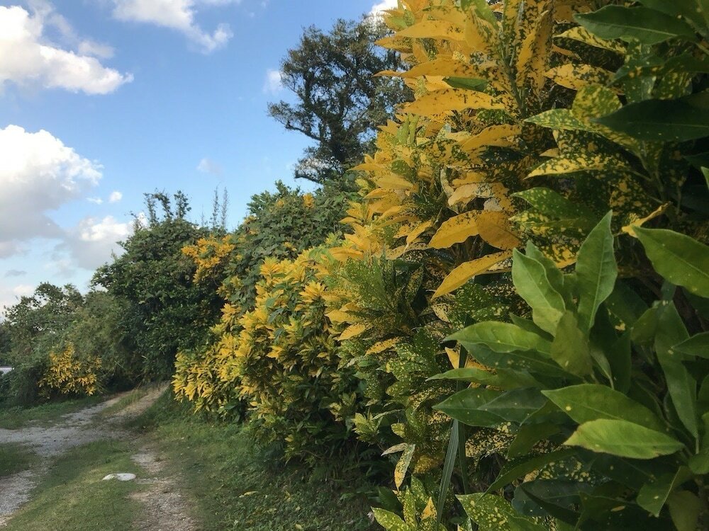 Фото Vacation Rental Kaniya