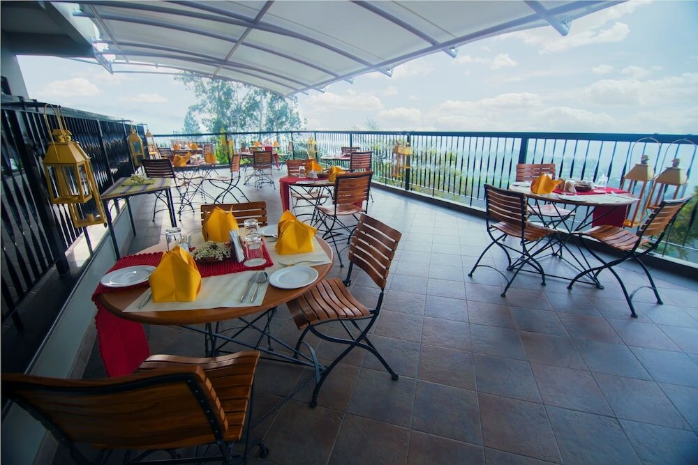 Фото Forest Glade