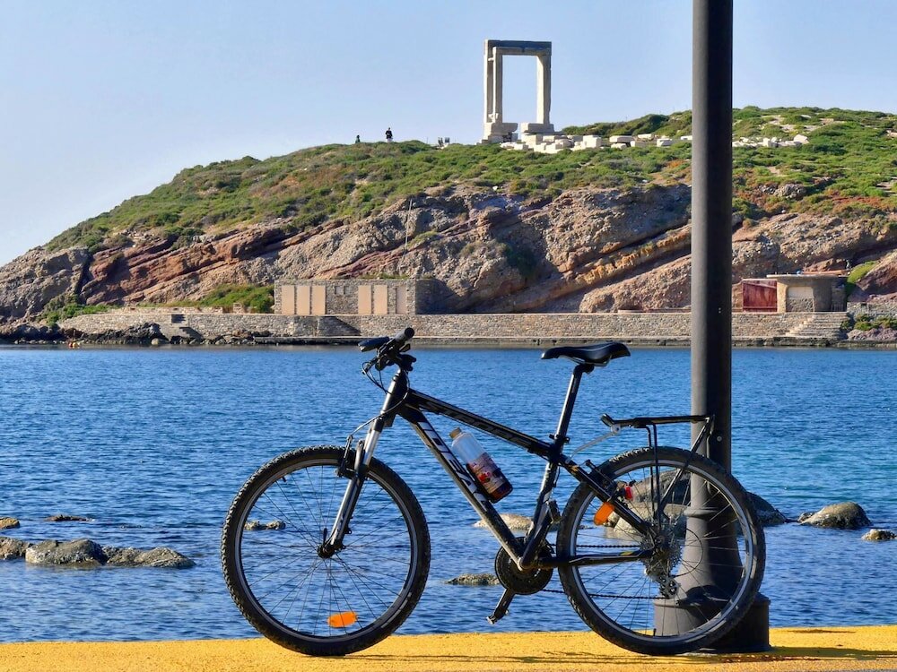 Фото Naxos Luxury Villas