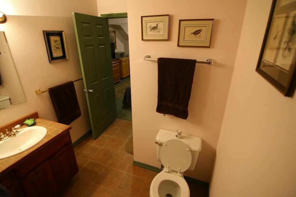 Фото Ivy Bear B&p