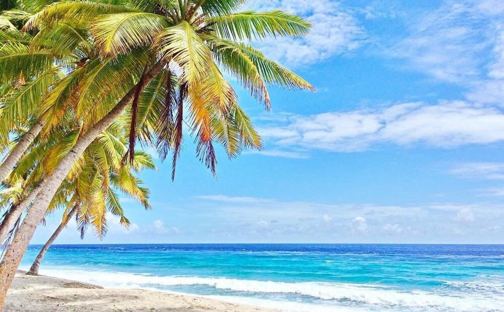 Фото Equator Residence