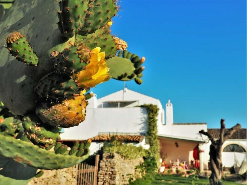 Фото Masseria Costarella