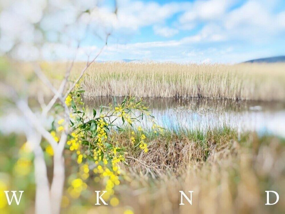 Фото Sea View Villa Schinias