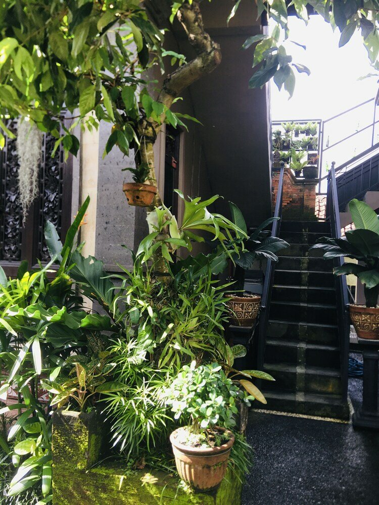 Фото Wina Ubud B&b