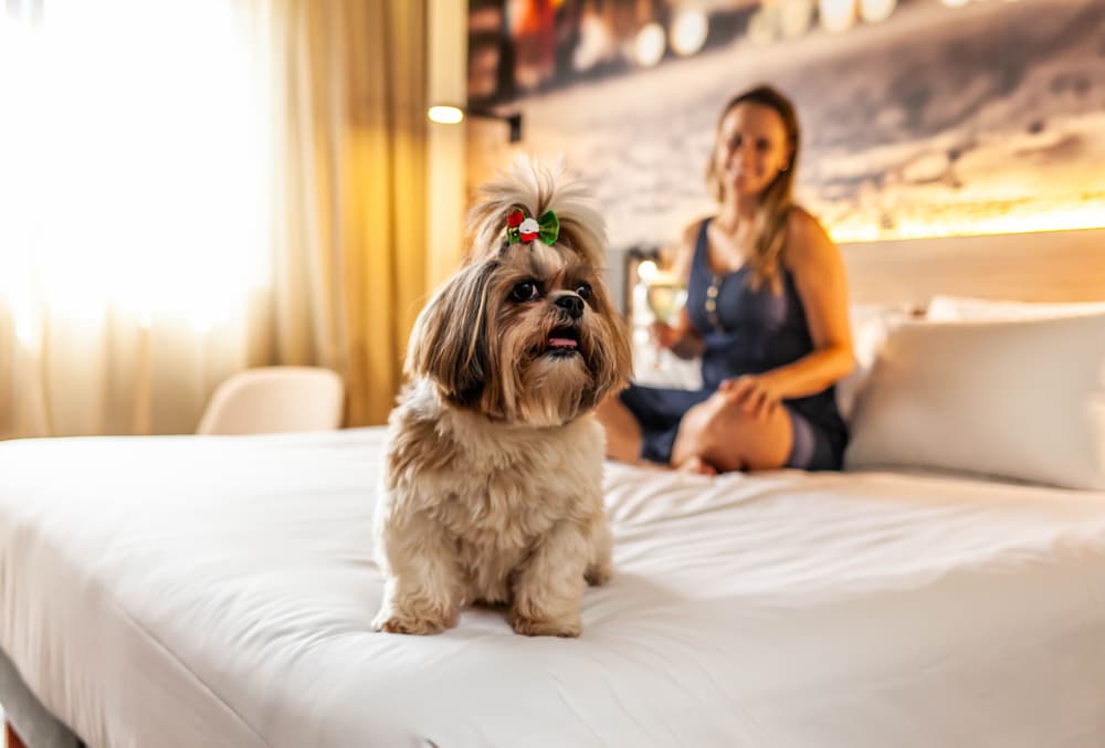 Фото Novotel Curitiba Batel