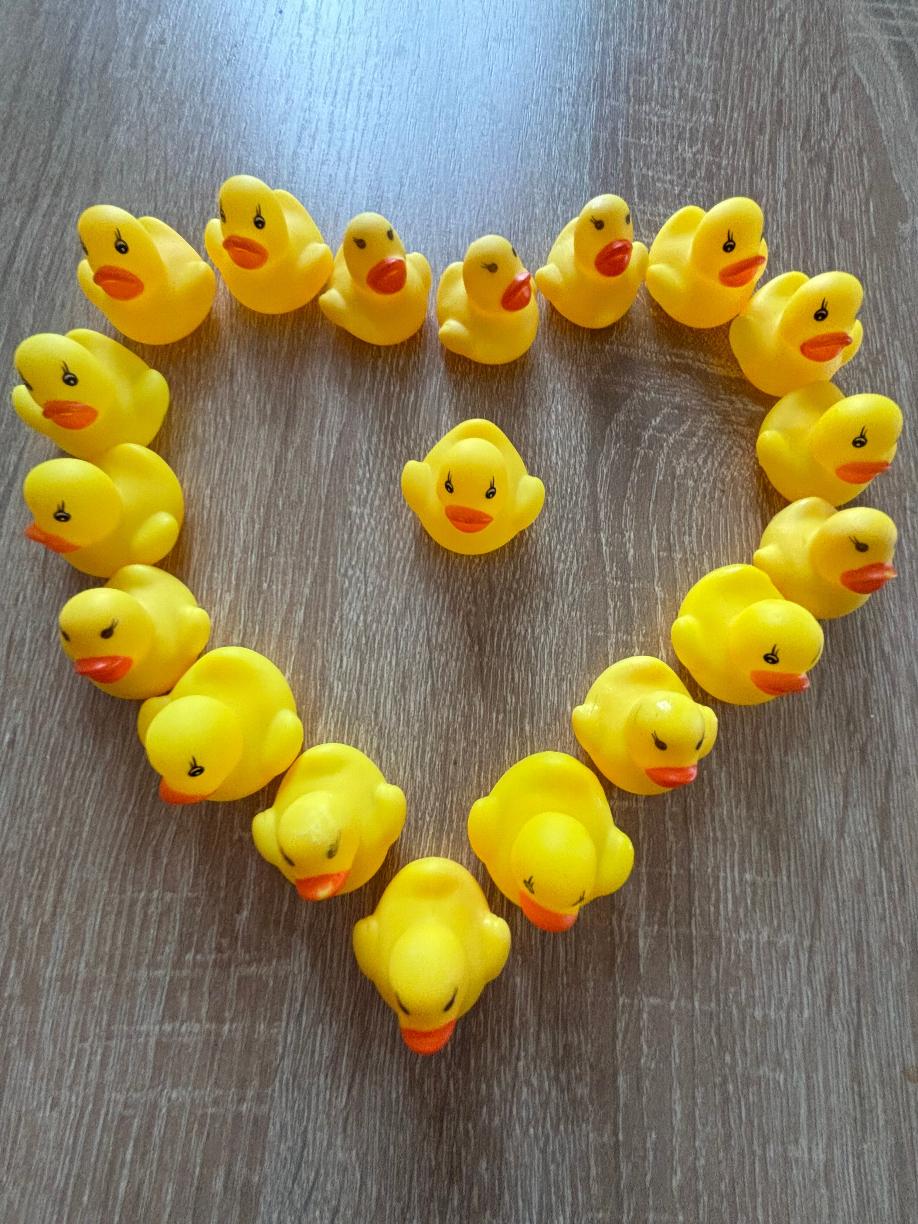 Фото Утиная история