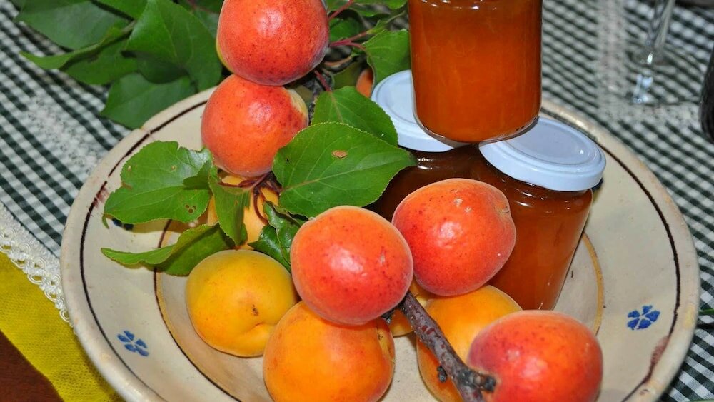 Фото Il Terrazzo sul Sinni