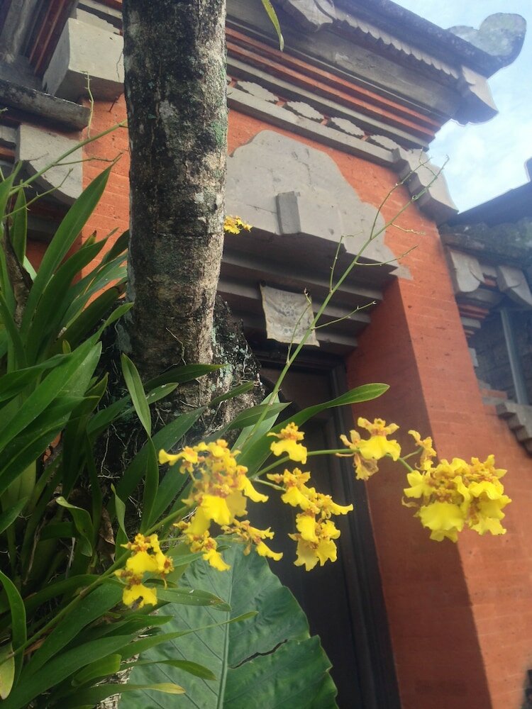 Фото Wina Ubud B&b