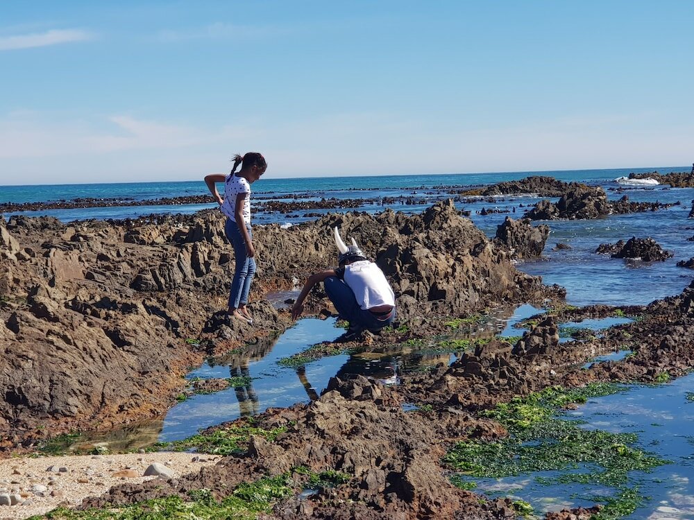 Фото Walkerbay Accommodation