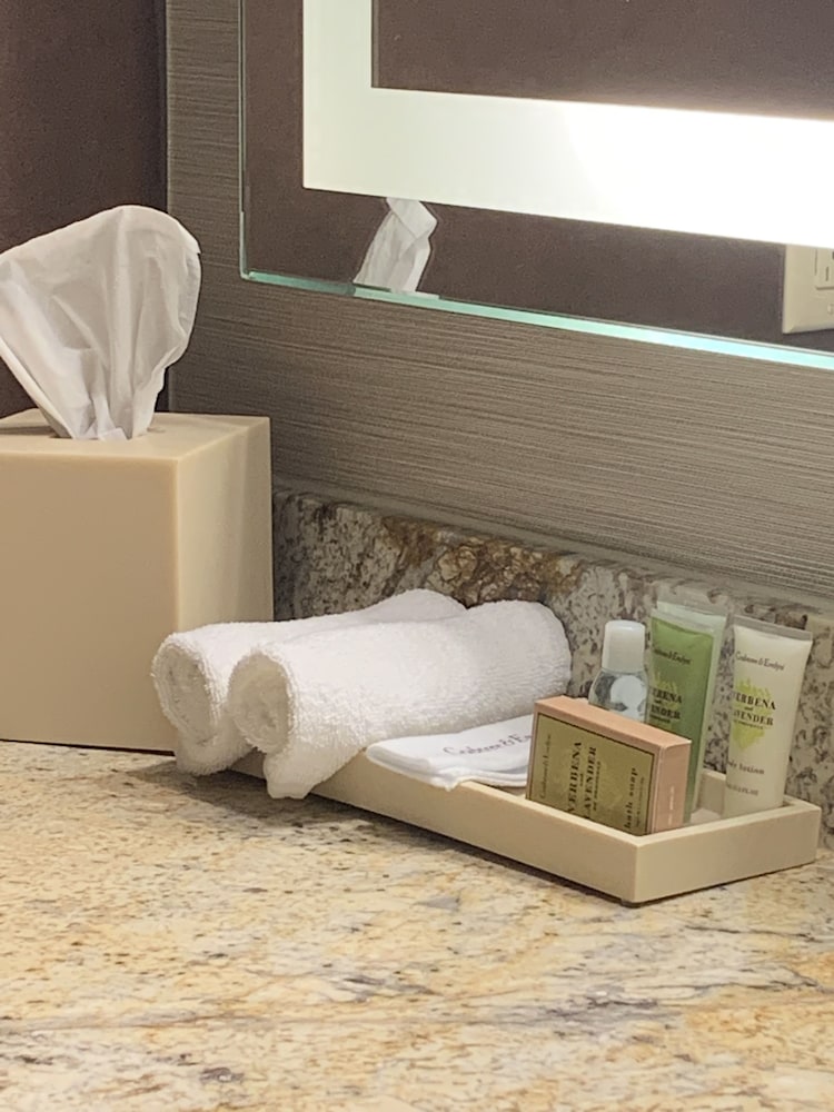 Фото DoubleTree by Hilton San Antonio Airport