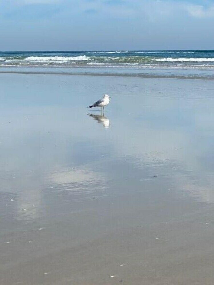 Фото Quail Hollow A9-2u