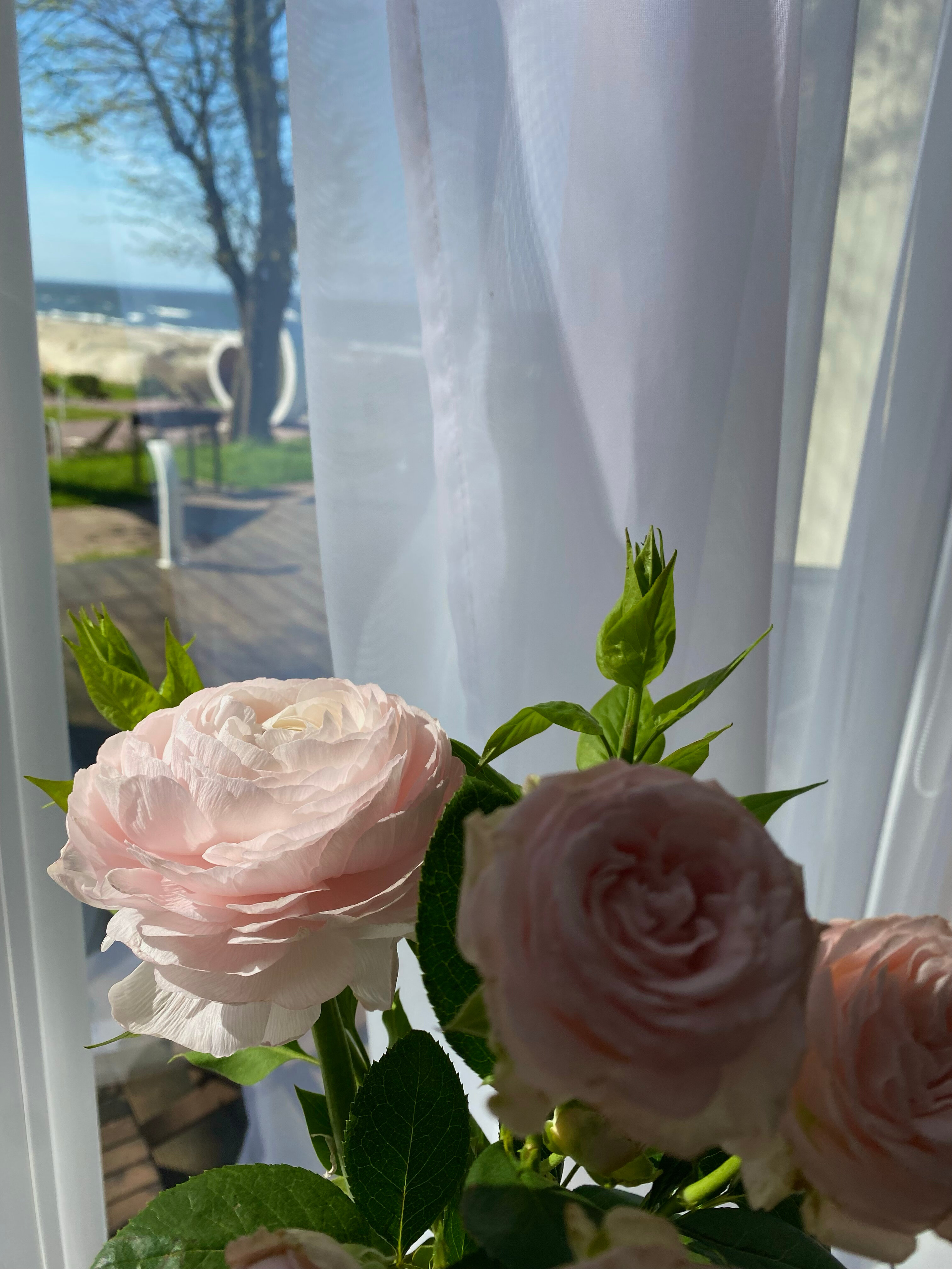 Фото Аквамарин