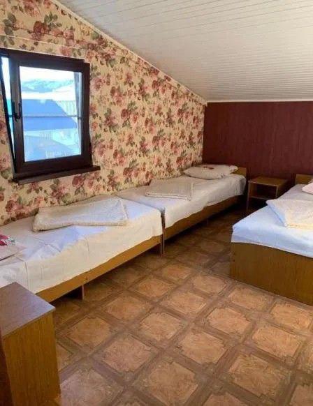 Фото Сакура