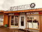 Xmeler (Settlement of Arkhangelskoe, 17В) ، حانة، بار