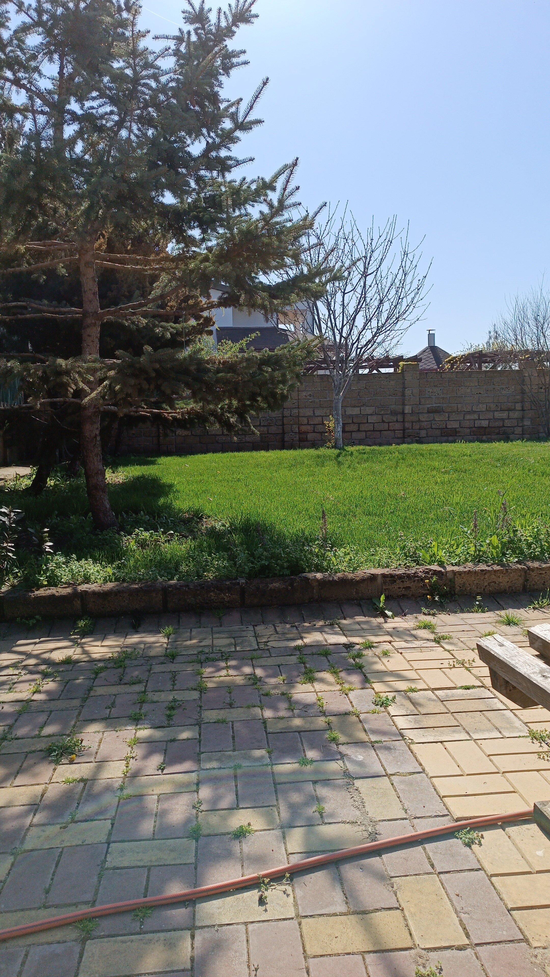 Фото Казантип центр