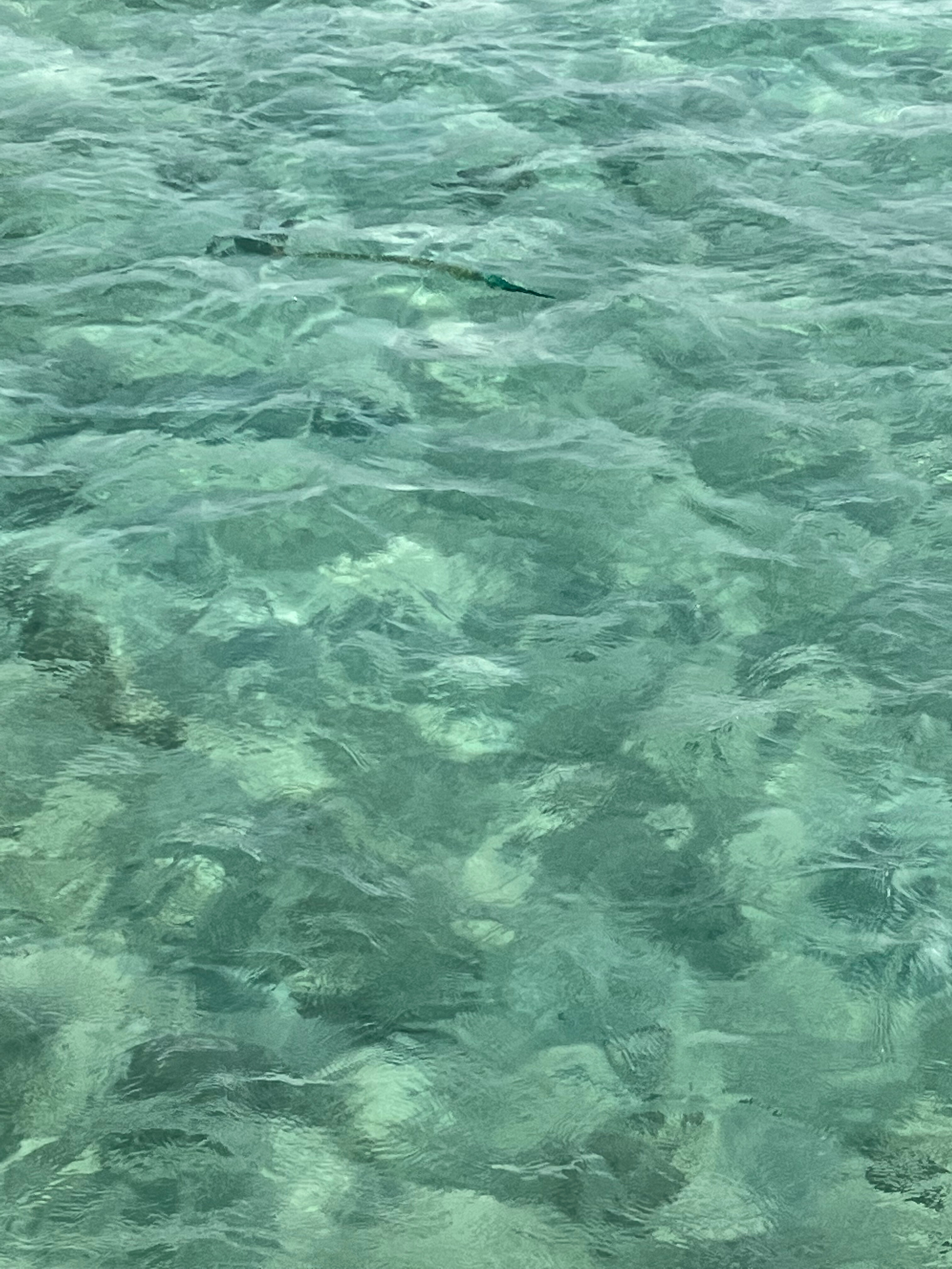 Фото Sunrise Aqua Joy Resort